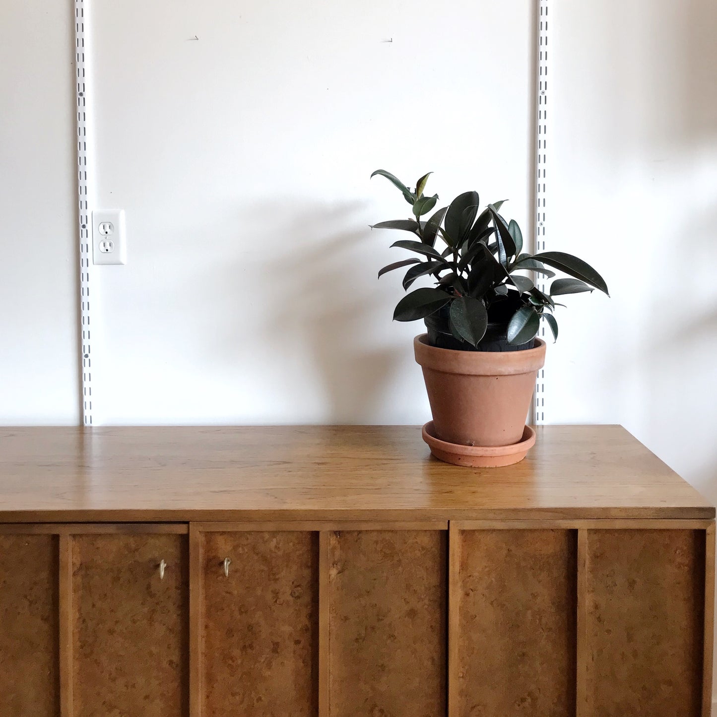 Vintage Credenza with Burled Wood