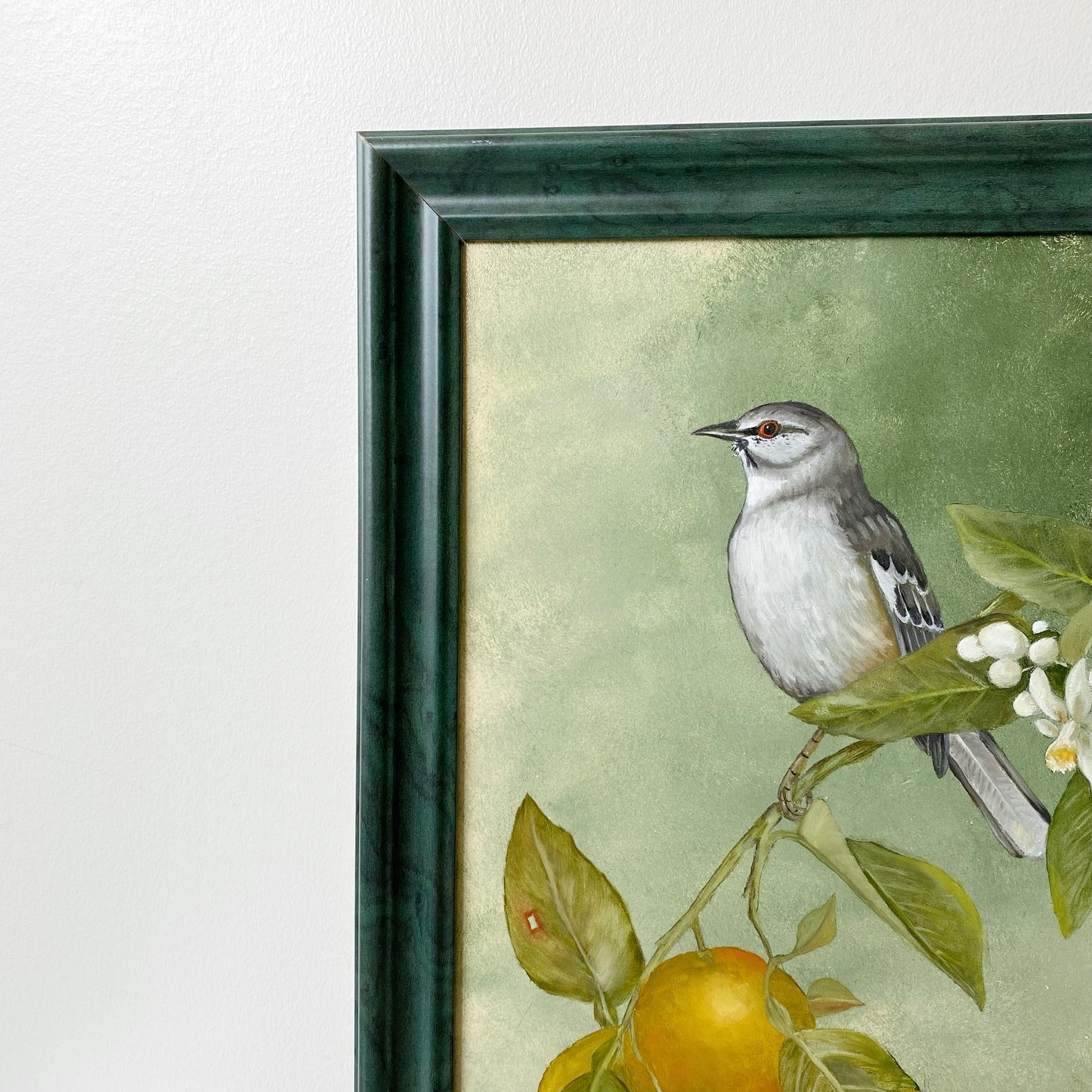Vintage Framed Bird Painting (15” x 19”)